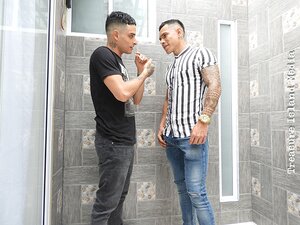 EL TIGRE & ANDRÉS ARIAS